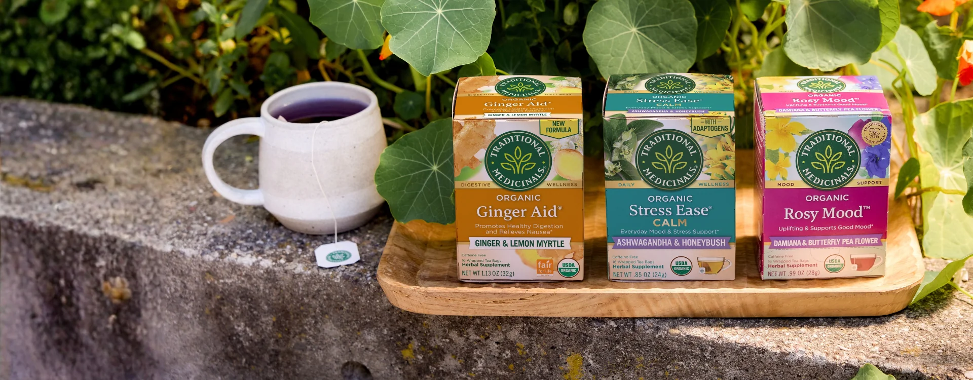 Harness the Power of Plants
